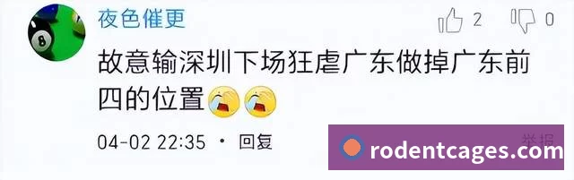 互动解说服务