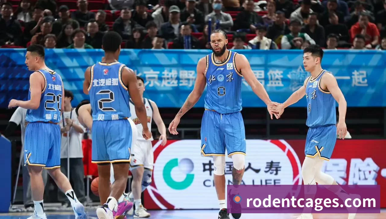 ky体育APP 体育赛事宣传图